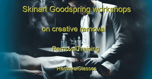 Skinart Goodspring workshops on creative removal | RemovalTraining | RemovalClasses | SkinartTraining-United States