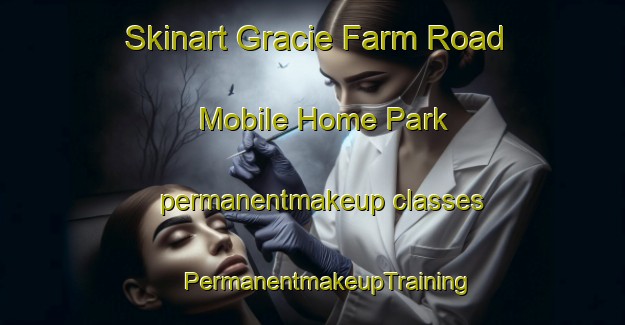 Skinart Gracie Farm Road Mobile Home Park permanentmakeup classes | #PermanentmakeupTraining #PermanentmakeupClasses #SkinartTraining-United States