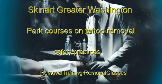 Skinart Greater Washington Park courses on tattoo removal safety practices | #RemovalTraining #RemovalClasses #SkinartTraining-United States