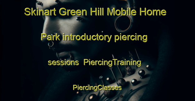 Skinart Green Hill Mobile Home Park introductory piercing sessions | #PiercingTraining #PiercingClasses #SkinartTraining-United States