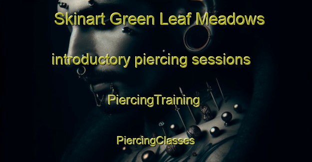 Skinart Green Leaf Meadows introductory piercing sessions | #PiercingTraining #PiercingClasses #SkinartTraining-United States