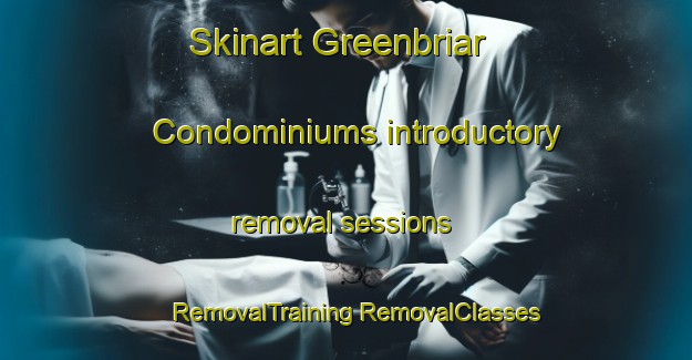 Skinart Greenbriar Condominiums introductory removal sessions | #RemovalTraining #RemovalClasses #SkinartTraining-United States