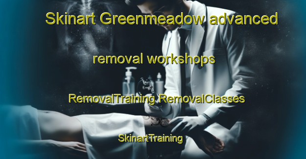 Skinart Greenmeadow advanced removal workshops | #RemovalTraining #RemovalClasses #SkinartTraining-United States