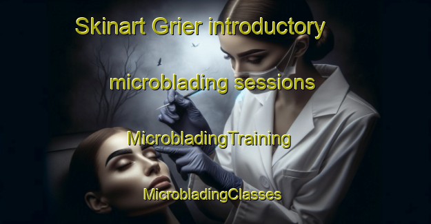 Skinart Grier introductory microblading sessions | MicrobladingTraining | MicrobladingClasses | SkinartTraining-United States