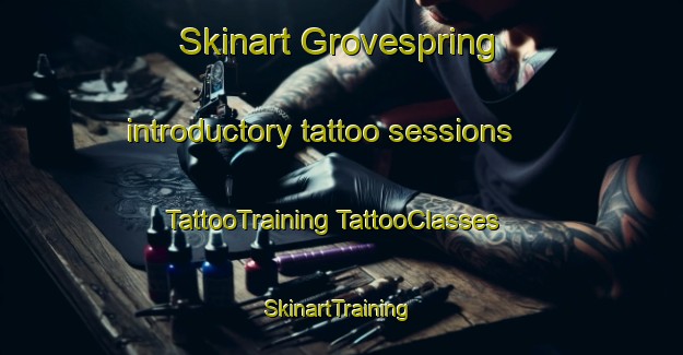 Skinart Grovespring introductory tattoo sessions | #TattooTraining #TattooClasses #SkinartTraining-United States