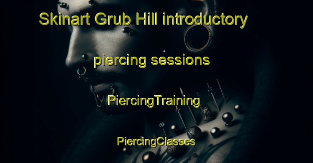 Skinart Grub Hill introductory piercing sessions | #PiercingTraining #PiercingClasses #SkinartTraining-United States