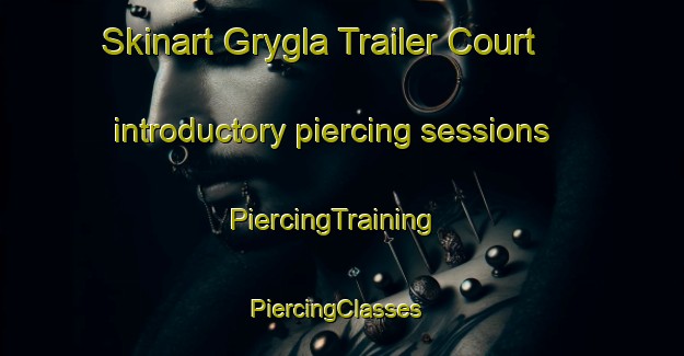 Skinart Grygla Trailer Court introductory piercing sessions | PiercingTraining | PiercingClasses | SkinartTraining-United States