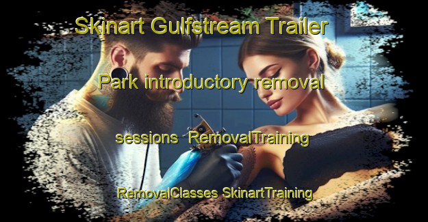 Skinart Gulfstream Trailer Park introductory removal sessions | #RemovalTraining #RemovalClasses #SkinartTraining-United States