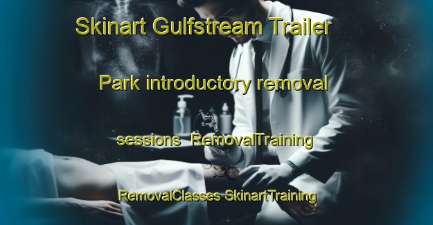 Skinart Gulfstream Trailer Park introductory removal sessions | #RemovalTraining #RemovalClasses #SkinartTraining-United States