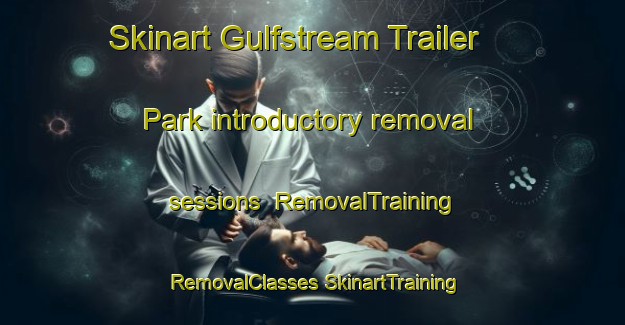 Skinart Gulfstream Trailer Park introductory removal sessions | #RemovalTraining #RemovalClasses #SkinartTraining-United States