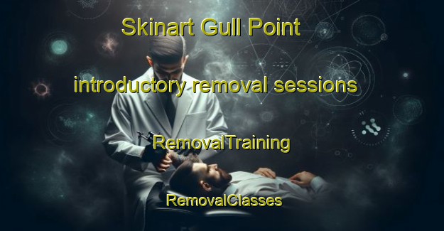 Skinart Gull Point introductory removal sessions | RemovalTraining | RemovalClasses | SkinartTraining-United States