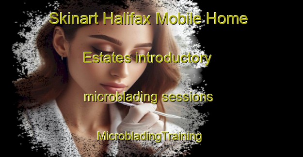 Skinart Halifax Mobile Home Estates introductory microblading sessions | #MicrobladingTraining #MicrobladingClasses #SkinartTraining-United States