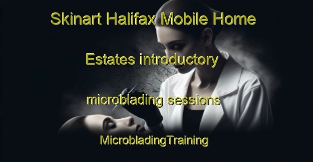 Skinart Halifax Mobile Home Estates introductory microblading sessions | #MicrobladingTraining #MicrobladingClasses #SkinartTraining-United States