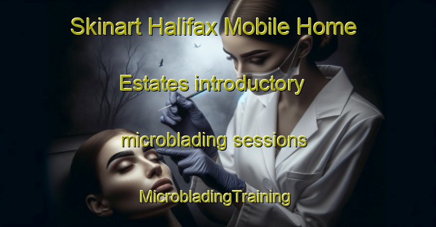 Skinart Halifax Mobile Home Estates introductory microblading sessions | #MicrobladingTraining #MicrobladingClasses #SkinartTraining-United States