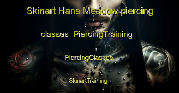 Skinart Hans Meadow piercing classes | #PiercingTraining #PiercingClasses #SkinartTraining-United States