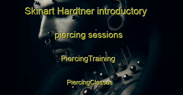 Skinart Hardtner introductory piercing sessions | PiercingTraining | PiercingClasses | SkinartTraining-United States