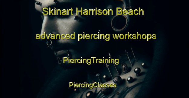 Skinart Harrison Beach advanced piercing workshops | PiercingTraining | PiercingClasses | SkinartTraining-United States