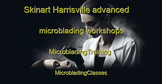 Skinart Harrisville advanced microblading workshops | #MicrobladingTraining #MicrobladingClasses #SkinartTraining-United States