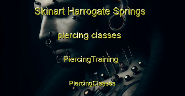 Skinart Harrogate Springs piercing classes | #PiercingTraining #PiercingClasses #SkinartTraining-United States