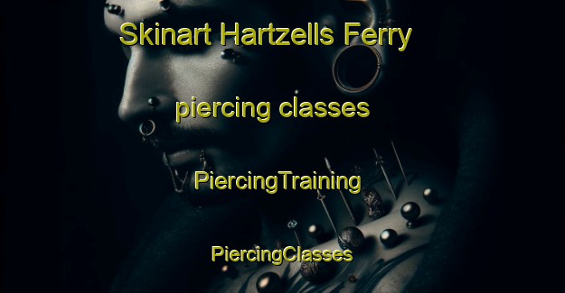 Skinart Hartzells Ferry piercing classes | #PiercingTraining #PiercingClasses #SkinartTraining-United States