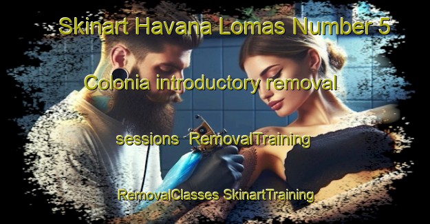 Skinart Havana Lomas Number 5 Colonia introductory removal sessions | #RemovalTraining #RemovalClasses #SkinartTraining-United States