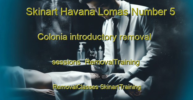 Skinart Havana Lomas Number 5 Colonia introductory removal sessions | #RemovalTraining #RemovalClasses #SkinartTraining-United States