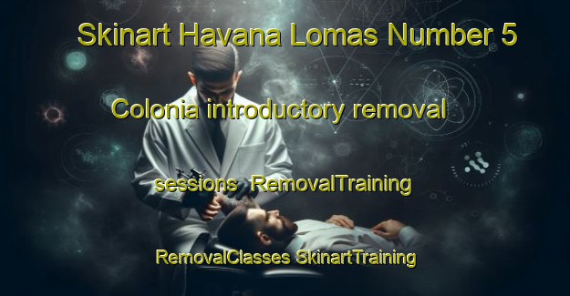 Skinart Havana Lomas Number 5 Colonia introductory removal sessions | #RemovalTraining #RemovalClasses #SkinartTraining-United States