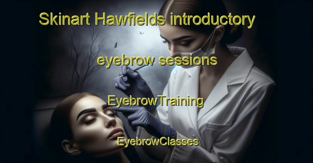 Skinart Hawfields introductory eyebrow sessions | EyebrowTraining | EyebrowClasses | SkinartTraining-United States