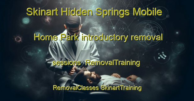 Skinart Hidden Springs Mobile Home Park introductory removal sessions | #RemovalTraining #RemovalClasses #SkinartTraining-United States