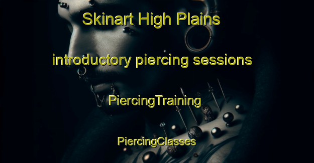 Skinart High Plains introductory piercing sessions | #PiercingTraining #PiercingClasses #SkinartTraining-United States