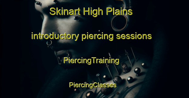 Skinart High Plains introductory piercing sessions | PiercingTraining | PiercingClasses | SkinartTraining-United States