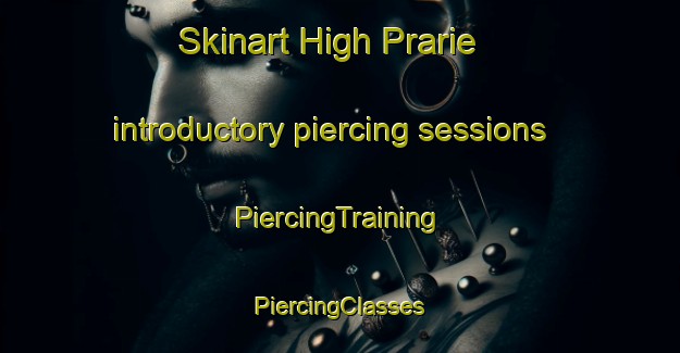 Skinart High Prarie introductory piercing sessions | #PiercingTraining #PiercingClasses #SkinartTraining-United States