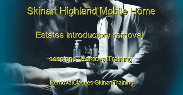 Skinart Highland Mobile Home Estates introductory removal sessions | #RemovalTraining #RemovalClasses #SkinartTraining-United States