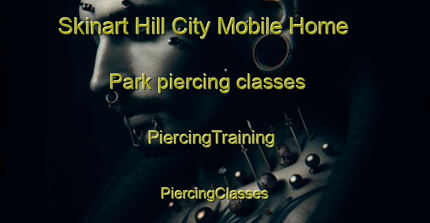 Skinart Hill City Mobile Home Park piercing classes | #PiercingTraining #PiercingClasses #SkinartTraining-United States