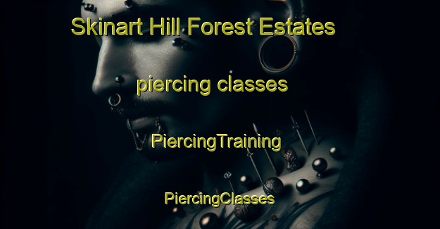 Skinart Hill Forest Estates piercing classes | #PiercingTraining #PiercingClasses #SkinartTraining-United States