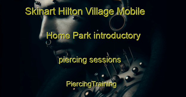 Skinart Hilton Village Mobile Home Park introductory piercing sessions | #PiercingTraining #PiercingClasses #SkinartTraining-United States