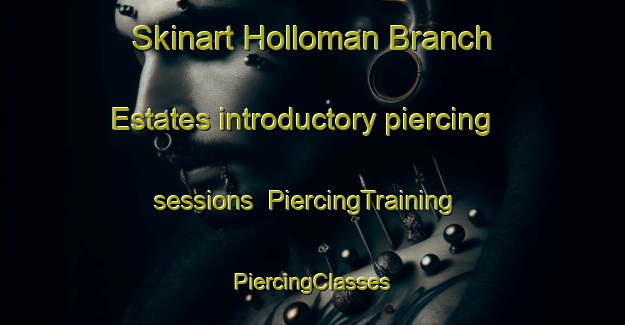 Skinart Holloman Branch Estates introductory piercing sessions | #PiercingTraining #PiercingClasses #SkinartTraining-United States