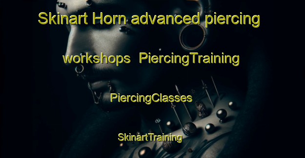 Skinart Horn advanced piercing workshops | #PiercingTraining #PiercingClasses #SkinartTraining-United States