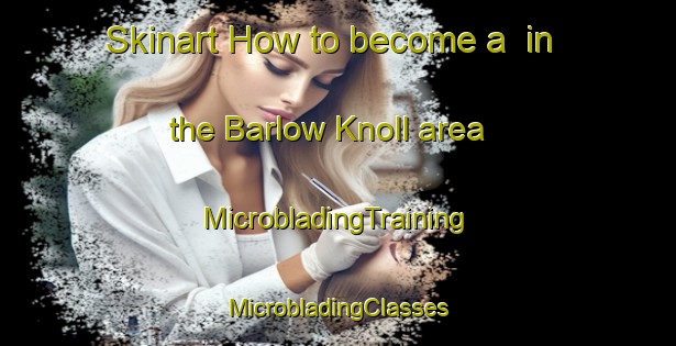 Skinart How to become a  in the Barlow Knoll area | #MicrobladingTraining #MicrobladingClasses #SkinartTraining-United States