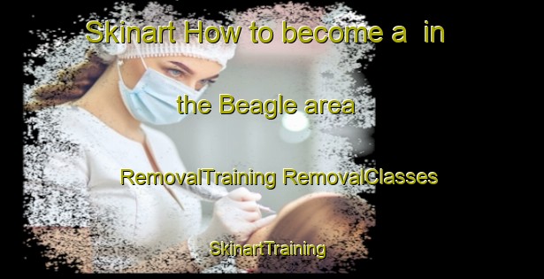 Skinart How to become a  in the Beagle area | #RemovalTraining #RemovalClasses #SkinartTraining-United States