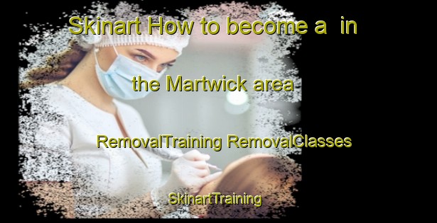 Skinart How to become a  in the Martwick area | #RemovalTraining #RemovalClasses #SkinartTraining-United States