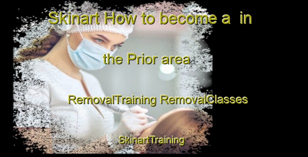 Skinart How to become a  in the Prior area | #RemovalTraining #RemovalClasses #SkinartTraining-United States