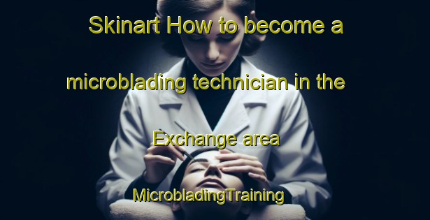 Skinart How to become a microblading technician in the Exchange area | MicrobladingTraining | MicrobladingClasses | SkinartTraining-United States