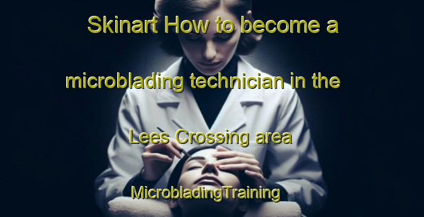 Skinart How to become a microblading technician in the Lees Crossing area | MicrobladingTraining | MicrobladingClasses | SkinartTraining-United States
