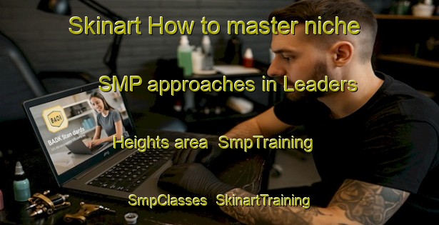Skinart How to master niche SMP approaches in Leaders Heights area | SmpTraining | SmpClasses | SkinartTraining-United States