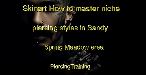 Skinart How to master niche piercing styles in Sandy Spring Meadow area | PiercingTraining | PiercingClasses | SkinartTraining-United States