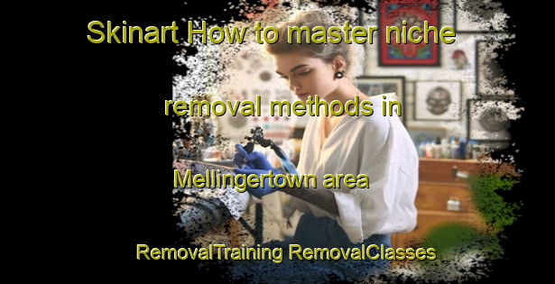 Skinart How to master niche removal methods in Mellingertown area | #RemovalTraining #RemovalClasses #SkinartTraining-United States