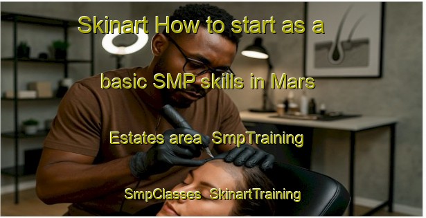 Skinart How to start as a basic SMP skills in Mars Estates area | SmpTraining | SmpClasses | SkinartTraining-United States