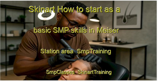 Skinart How to start as a basic SMP skills in Meiser Station area | SmpTraining | SmpClasses | SkinartTraining-United States
