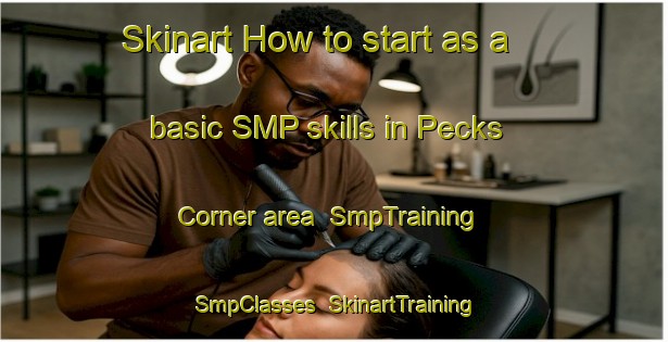 Skinart How to start as a basic SMP skills in Pecks Corner area | SmpTraining | SmpClasses | SkinartTraining-United States